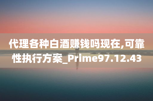 代理各种白酒赚钱吗现在,可靠性执行方案_Prime97.12.43