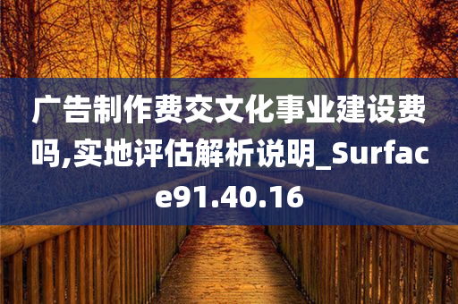 广告制作费交文化事业建设费吗,实地评估解析说明_Surface91.40.16