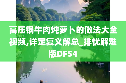 高压锅牛肉炖萝卜的做法大全视频,详定复义解总_排忧解难版DFS4