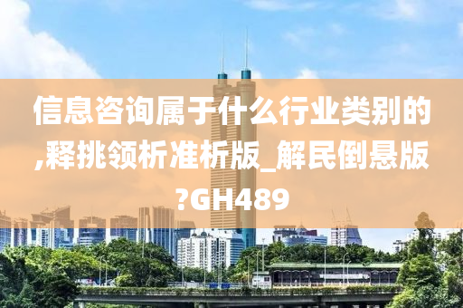 信息咨询属于什么行业类别的,释挑领析准析版_解民倒悬版?GH489