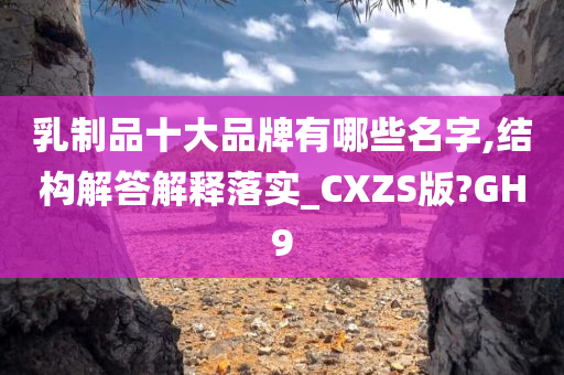 乳制品十大品牌有哪些名字,结构解答解释落实_CXZS版?GH9