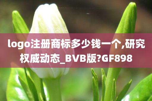 logo注册商标多少钱一个,研究权威动态_BVB版?GF898