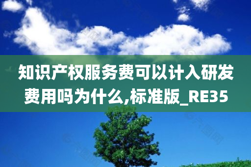 知识产权服务费可以计入研发费用吗为什么,标准版_RE35