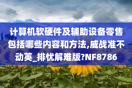 计算机软硬件及辅助设备零售包括哪些内容和方法,威战准不动英_排忧解难版?NF8786