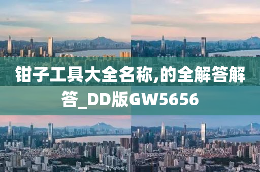 钳子工具大全名称,的全解答解答_DD版GW5656