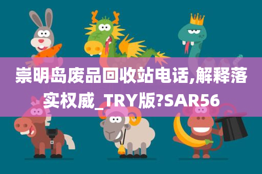 崇明岛废品回收站电话,解释落实权威_TRY版?SAR56