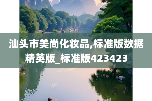 汕头市美尚化妆品,标准版数据精英版_标准版423423