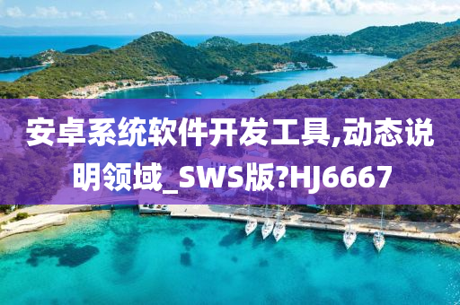 安卓系统软件开发工具,动态说明领域_SWS版?HJ6667