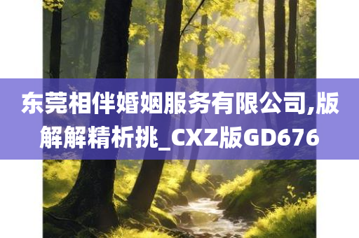 东莞相伴婚姻服务有限公司,版解解精析挑_CXZ版GD676