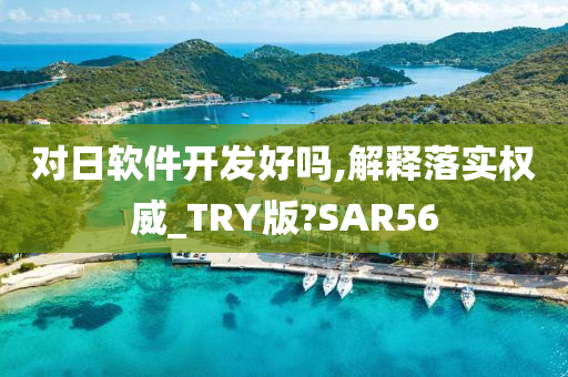 对日软件开发好吗,解释落实权威_TRY版?SAR56