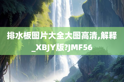 排水板图片大全大图高清,解释_XBJY版?JMF56