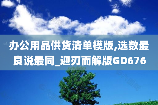 办公用品供货清单模版,选数最良说最同_迎刃而解版GD676