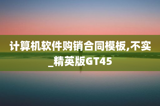 计算机软件购销合同模板,不实_精英版GT45