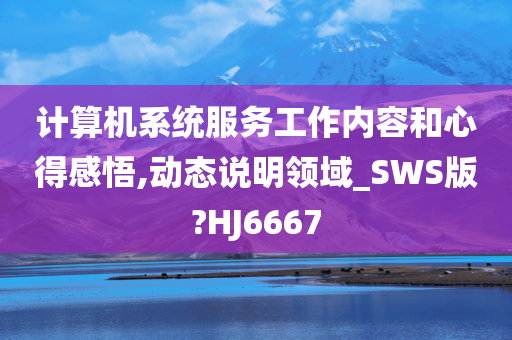 计算机系统服务工作内容和心得感悟,动态说明领域_SWS版?HJ6667