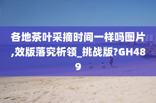 各地茶叶采摘时间一样吗图片,效版落究析领_挑战版?GH489