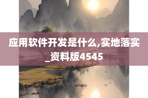 应用软件开发是什么,实地落实_资料版4545