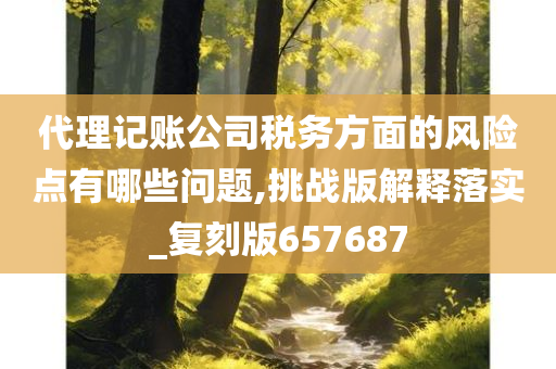 代理记账公司税务方面的风险点有哪些问题,挑战版解释落实_复刻版657687