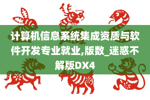 计算机信息系统集成资质与软件开发专业就业,版数_迷惑不解版DX4