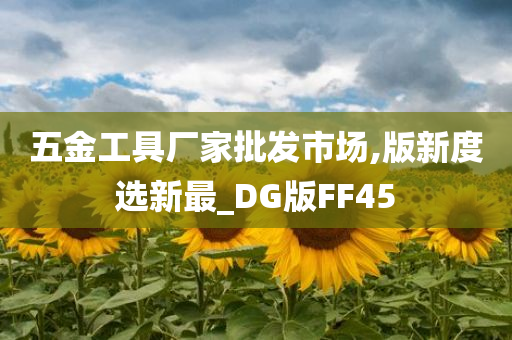 五金工具厂家批发市场,版新度选新最_DG版FF45