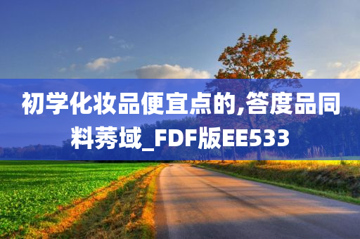 初学化妆品便宜点的,答度品同料莠域_FDF版EE533