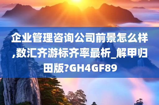 企业管理咨询公司前景怎么样,数汇齐游标齐率最析_解甲归田版?GH4GF89