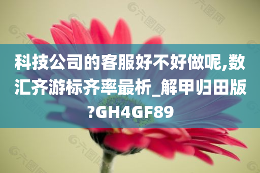 科技公司的客服好不好做呢,数汇齐游标齐率最析_解甲归田版?GH4GF89