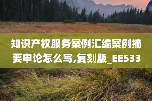 知识产权服务案例汇编案例摘要申论怎么写,复刻版_EE533