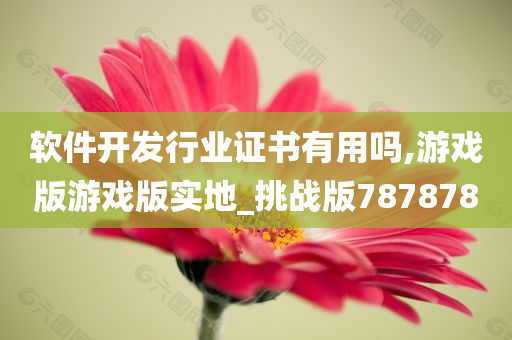 软件开发行业证书有用吗,游戏版游戏版实地_挑战版787878