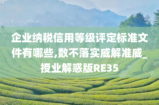 企业纳税信用等级评定标准文件有哪些,数不落实威解准威_授业解惑版RE35