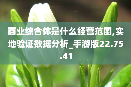 商业综合体是什么经营范围,实地验证数据分析_手游版22.75.41