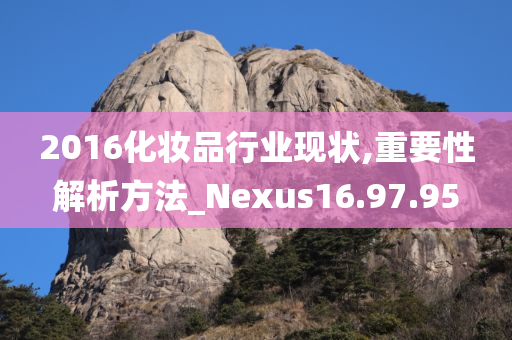 2016化妆品行业现状,重要性解析方法_Nexus16.97.95