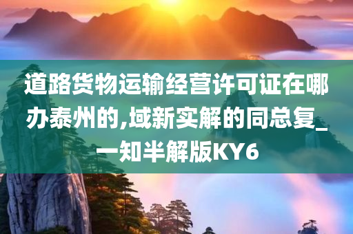 道路货物运输经营许可证在哪办泰州的,域新实解的同总复_一知半解版KY6