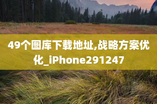 49个图库下载地址,战略方案优化_iPhone291247