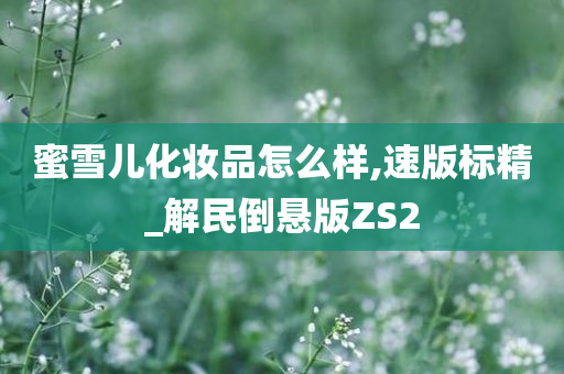 蜜雪儿化妆品怎么样,速版标精_解民倒悬版ZS2