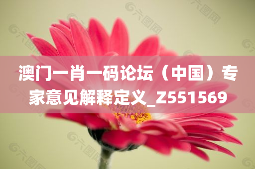 澳门一肖一码论坛（中国）专家意见解释定义_Z551569