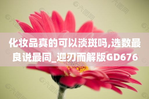 化妆品真的可以淡斑吗,选数最良说最同_迎刃而解版GD676