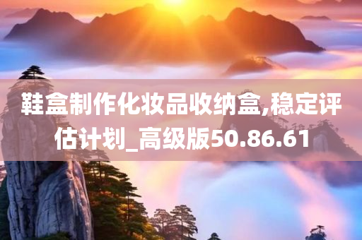 鞋盒制作化妆品收纳盒,稳定评估计划_高级版50.86.61