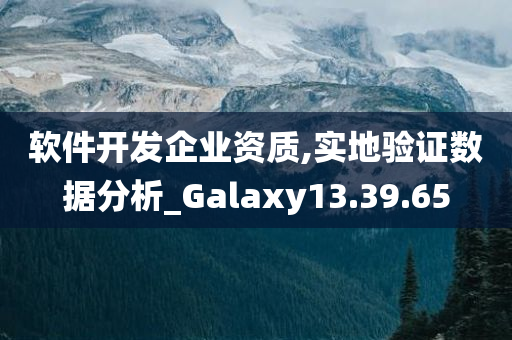 软件开发企业资质,实地验证数据分析_Galaxy13.39.65