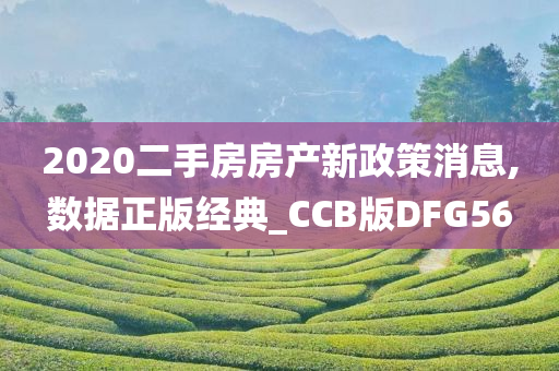 2020二手房房产新政策消息,数据正版经典_CCB版DFG56