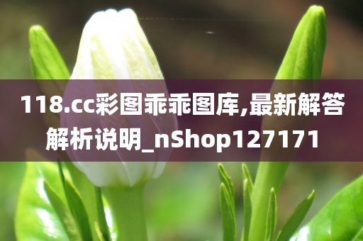 118.cc彩图乖乖图库,最新解答解析说明_nShop127171