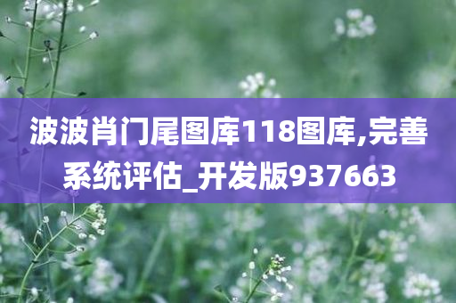 波波肖门尾图库118图库,完善系统评估_开发版937663