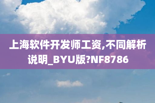 上海软件开发师工资,不同解析说明_BYU版?NF8786