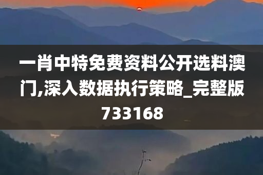 一肖中特免费资料公开选料澳门,深入数据执行策略_完整版733168