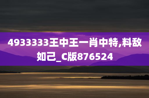 4933333王中王一肖中特,料敌如己_C版876524