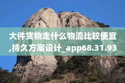 大件货物走什么物流比较便宜,持久方案设计_app68.31.93