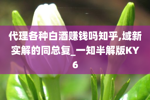 代理各种白酒赚钱吗知乎,域新实解的同总复_一知半解版KY6