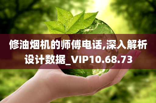 修油烟机的师傅电话,深入解析设计数据_VIP10.68.73