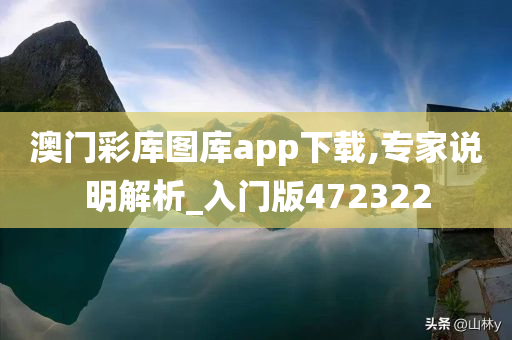 澳门彩库图库app下载,专家说明解析_入门版472322