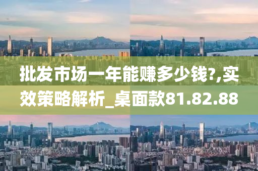 批发市场一年能赚多少钱?,实效策略解析_桌面款81.82.88