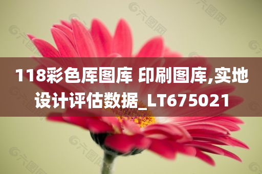 118彩色厍图库 印刷图库,实地设计评估数据_LT675021